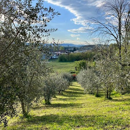 Il Nido Di Margherita San Giovanni Valdarno Eksteriør bilde